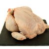 Pollo extra