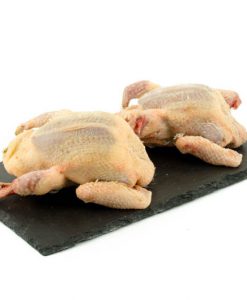 Pichones